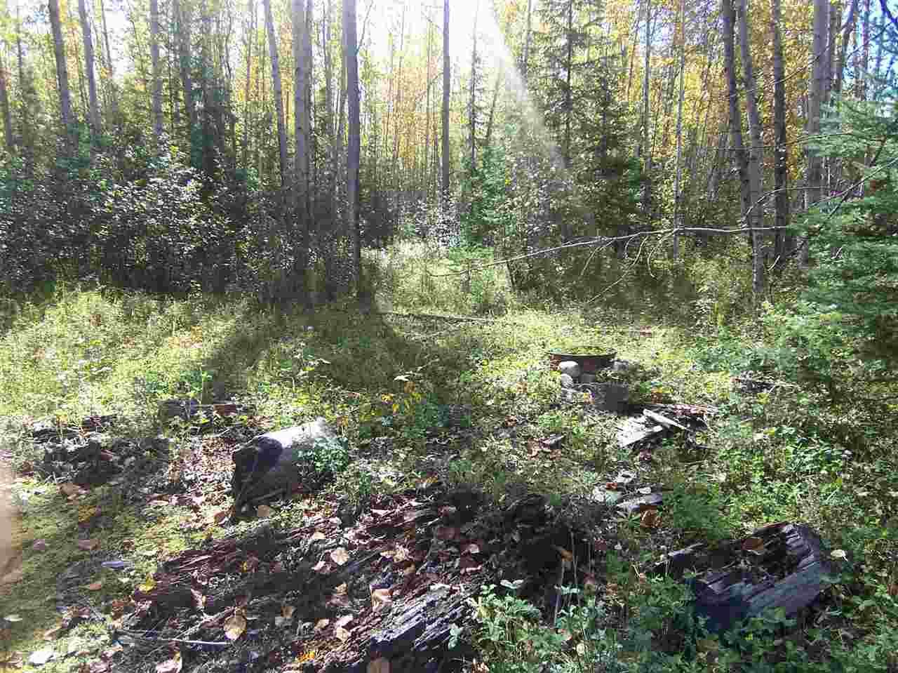 Photo 10: Photos: 4682 BARKERVILLE Highway in Quesnel: Quesnel - Rural North Land for sale (Quesnel (Zone 28))  : MLS®# R2105293