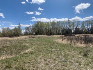 Photo 2: 48115 233 Avenue E: Rural Foothills County Residential Land for sale : MLS®# A1217113