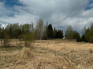 Photo 16: 2880 MOUNTAIN VIEW Road in McBride: McBride - Town Land for sale (Robson Valley)  : MLS®# R2879829