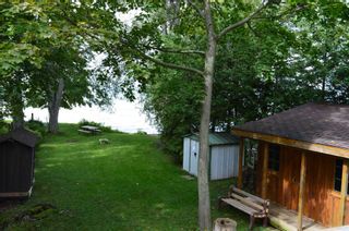 Photo 11: 2720 Lone Birch Trail in Ramara: Brechin House (Bungalow) for sale : MLS®# S5810398