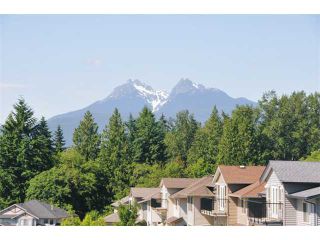 Photo 5: 10653 JACKSON Road in Maple Ridge: Albion House for sale : MLS®# V897957