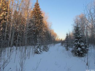 Photo 20: Recreational Land North-East of White Fox in Torch River: Lot/Land for sale (Torch River Rm No. 488)  : MLS®# SK909033