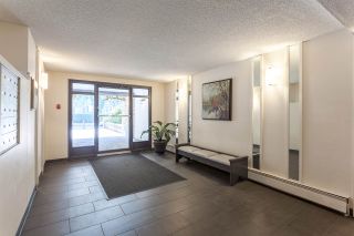 Photo 17: 308 1515 E 5TH Avenue in Vancouver: Grandview VE Condo for sale in "Woodland Place" (Vancouver East)  : MLS®# R2202256