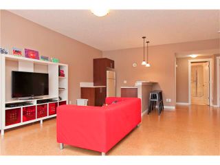Photo 21: 250 CHAPARRAL RAVINE View SE in Calgary: Chaparral House for sale : MLS®# C4044317