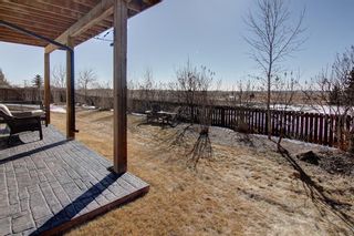 Photo 33: 464 400 Carriage Lane Crescent: Carstairs Detached for sale : MLS®# A1077655
