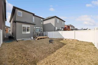 Photo 35: 42 Wolf Hollow Way SE in Calgary: C-281 Detached for sale : MLS®# A2124565