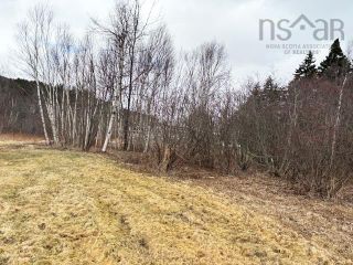 Photo 9: 4539 Shulie Road in Shulie: 102S-South of Hwy 104, Parrsboro Residential for sale (Northern Region)  : MLS®# 202405249