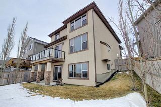 Photo 40: 37 Sage Hill Landing NW in Calgary: Sage Hill Detached for sale : MLS®# A1061545