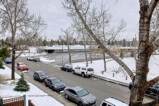 Photo 39: 216 3615B 49 Street NW in Calgary: Varsity Apartment for sale : MLS®# A1209708