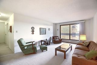 Photo 4: 505 9800 Horton Road SW in Calgary: Haysboro Apartment for sale : MLS®# A1060584