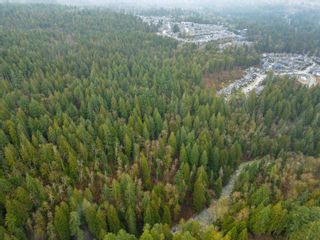 Photo 20: 13800 236 Street in Maple Ridge: Silver Valley Land for sale in "Forest Hamlet Eco Cluster Silver Valley" : MLS®# R2853658
