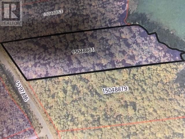 Main Photo: 00 Fundy in Campobello: Vacant Land for sale : MLS®# NB089906