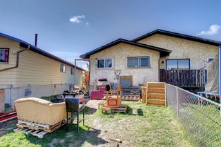 Photo 43: 220 Whitworth Way NE in Calgary: Whitehorn Semi Detached for sale : MLS®# A1215186