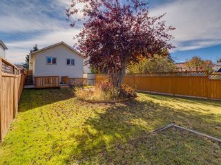 Photo 29: 13 SHAWGLEN Court SW in Calgary: Shawnessy House for sale : MLS®# C4142331