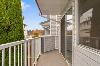 Photo 24: 14 3410 COAST MERIDIAN Road in Port Coquitlam: Lincoln Park PQ Townhouse for sale in "AVONDALE" : MLS®# R2733423
