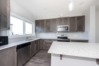 Photo 23: 1807 CORNERSTONE Boulevard NE in Calgary: Cornerstone Semi Detached (Half Duplex) for sale : MLS®# A2100424