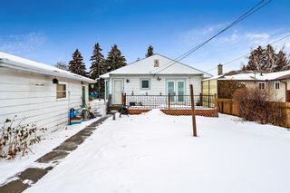 Photo 23: 2420 39 Street SE in Calgary: Forest Lawn Detached for sale : MLS®# A2016573
