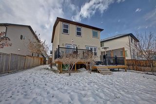 Photo 33: 54 Bridleridge Green SW in Calgary: Bridlewood Detached for sale : MLS®# A2014033