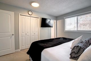 Photo 20: 96 Whitefield Close NE in Calgary: Whitehorn Detached for sale : MLS®# A2011486