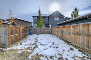 Photo 45: 186 Chaparral Valley Square SE in Calgary: Chaparral Semi Detached (Half Duplex) for sale : MLS®# A2009371