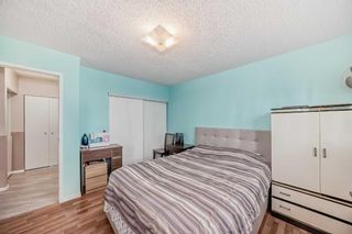 Photo 22: 118 20 Dover Point SE in Calgary: Dover Apartment for sale : MLS®# A2124249