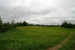 Photo 10: Lot 17 Con 2 in Amaranth: Rural Amaranth Property for sale : MLS®# X4680333