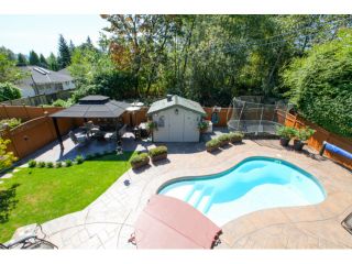 Photo 20: 23760 120B Avenue in Maple Ridge: East Central House for sale : MLS®# V1021747