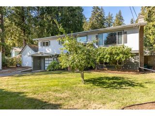 Photo 2: 19847 38A Avenue in Langley: Brookswood Langley House for sale in "Brookswood" : MLS®# R2722097