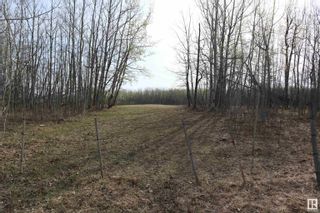 Photo 2: Pt NW-31-46 -1-W5: Rural Wetaskiwin County Vacant Lot/Land for sale : MLS®# E4335325