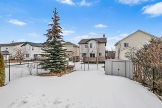 Photo 39: 28 Cougarstone Square SW in Calgary: Cougar Ridge Detached for sale : MLS®# A2036427