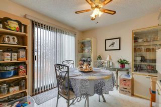 Photo 33: 1-4 4832 Voyageur Drive NW in Calgary: Varsity 4 plex for sale : MLS®# A2125555