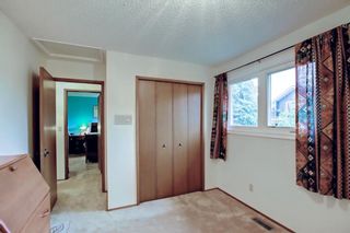 Photo 33: 260 Woodridge Drive SW in Calgary: Woodlands Detached for sale : MLS®# A1253815