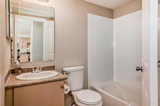 Photo 29: 209 1717 60 Street SE in Calgary: Red Carpet Apartment for sale : MLS®# A2133379