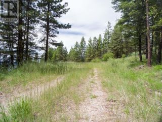 Photo 21: LOT 4 WHITETAIL Place in Osoyoos: Vacant Land for sale : MLS®# 198188