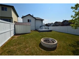 Photo 22: 1007 CREEK SPRINGS Rise NW: Airdrie House for sale : MLS®# C4022944