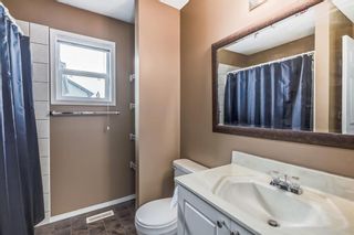 Photo 22: 6 Bridlewood Manor SW in Calgary: Bridlewood Detached for sale : MLS®# A2051369
