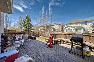 Photo 42: 8 Strathlea Close SW in Calgary: Strathcona Park Detached for sale : MLS®# A2131288