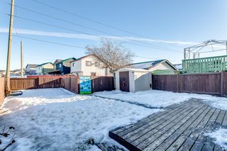 Photo 5: 82 Martin Crossing Way NE in Calgary: Martindale Detached for sale : MLS®# A2021356