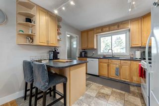 Photo 8: 69 Dovercliffe Close SE in Calgary: Dover Detached for sale : MLS®# A2129385