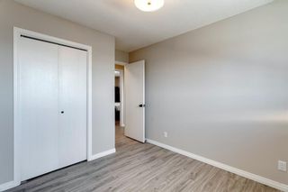 Photo 17: 3812 49 Street NE in Calgary: Whitehorn Detached for sale : MLS®# A1054455