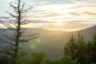 Photo 39: 2038 Pinehurst Terr in Langford: La Bear Mountain Land for sale : MLS®# 886242