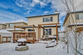 Photo 32: 273 Lakeview Inlet: Chestermere Detached for sale : MLS®# A2022824