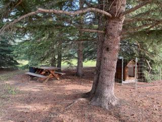Photo 7: 5426 Township Road 322: Rural Mountain View County Detached for sale : MLS®# A2058991