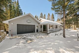 Photo 12: 244, 5241 Township Road 325A: Rural Mountain View County Detached for sale : MLS®# A1191431