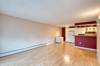 Photo 10: 308 816 89 Avenue SW in Calgary: Haysboro Apartment for sale : MLS®# A1228379
