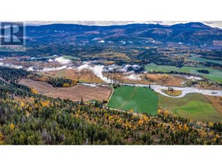 Photo 10: 1477 Enderby Mabel Lake Road in Enderby: Vacant Land for sale : MLS®# 10287720