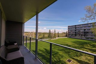 Photo 21: 402 3204 Rideau Place SW in Calgary: Rideau Park Apartment for sale : MLS®# A2132313