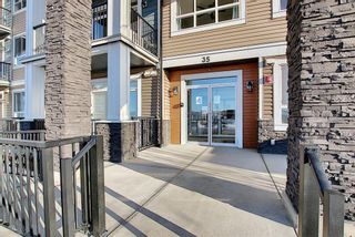 Photo 3: 106 25 Walgrove Walk SE in Calgary: Walden Apartment for sale : MLS®# A1250186