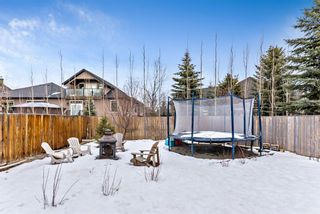 Photo 43: 6 Crystal Green Grove: Okotoks Detached for sale : MLS®# A1076312