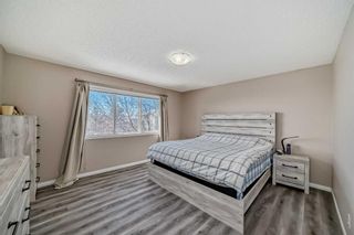 Photo 16: 291 Evanston View NW in Calgary: Evanston Detached for sale : MLS®# A2119232